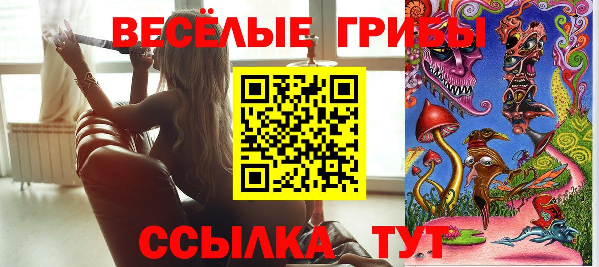 Псилоцибиновые грибы мухоморы  Вход с VPN  Мытищи  Псилоцибиновые грибы Psilocybe 