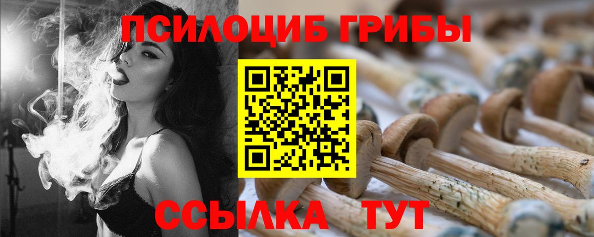 Псилоцибиновые грибы Psilocybine cubensis Мытищи